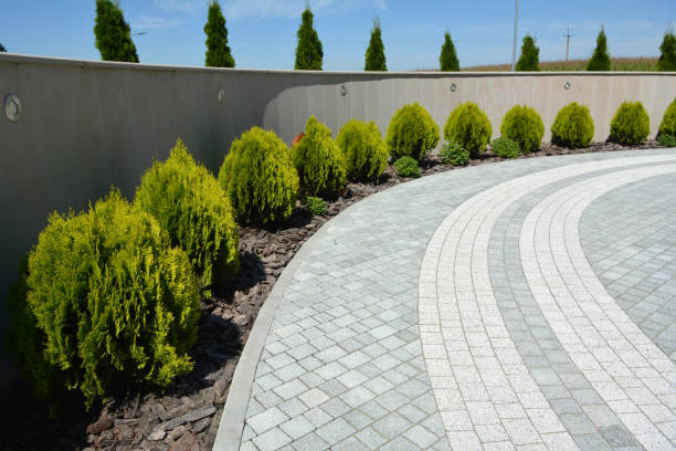 Best Cobblestone Driveway Pavers  in Nicholasville, KY